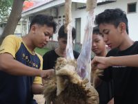 Berqurban, Sarana Belajar Santri dalam Bermasyarakat